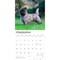 Cairn Terriers | 2026 12 x 24 Inch (Hanging) Monthly Square Wall Calendar | Plastic-Free